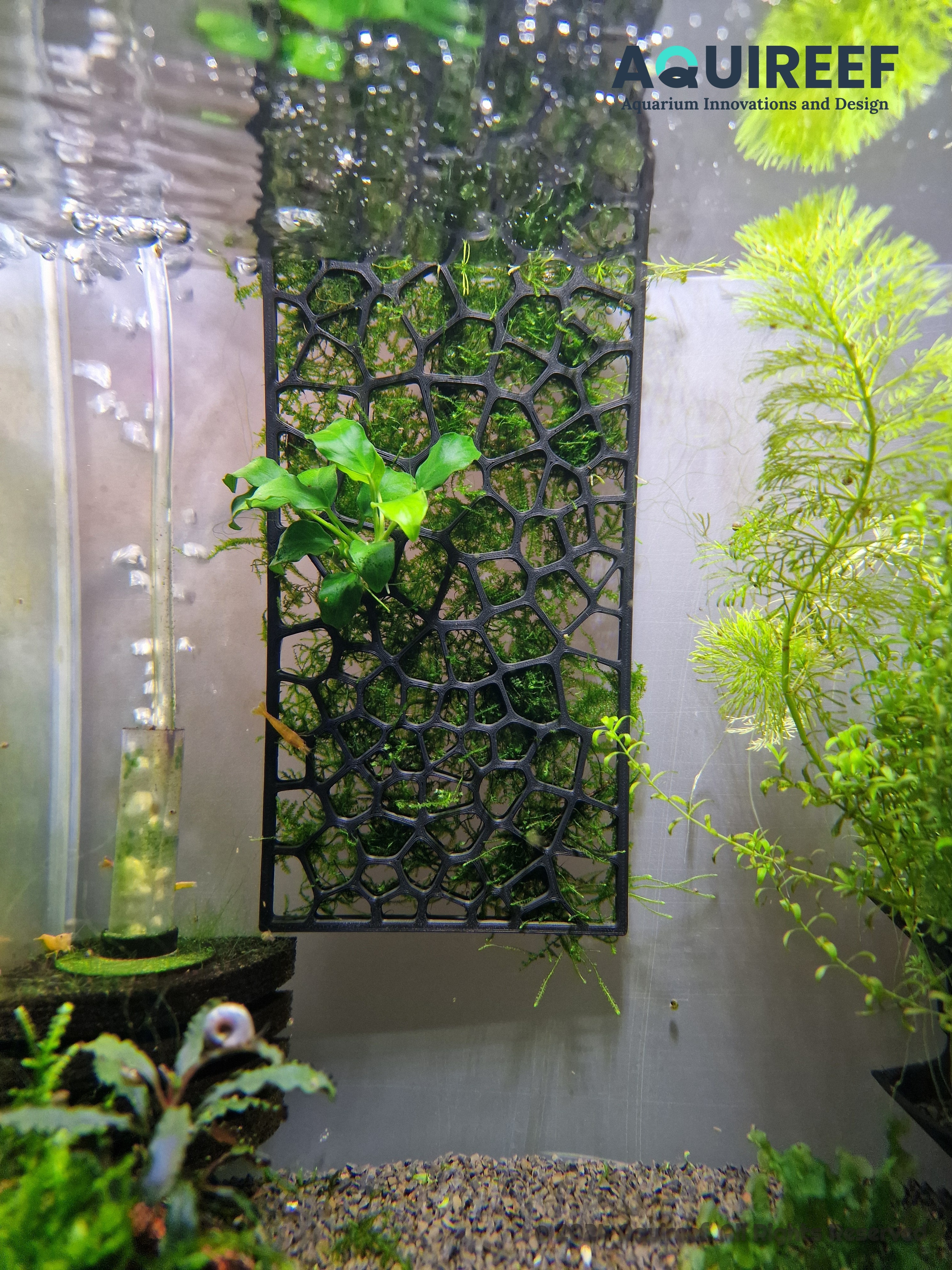 Moss Growout Frame